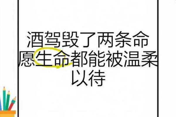 探讨“命毁之中的命”：生死与存在的哲学思考