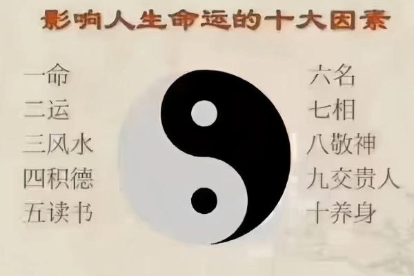 一命换六命的真相：背后隐藏的深刻寓意与启示