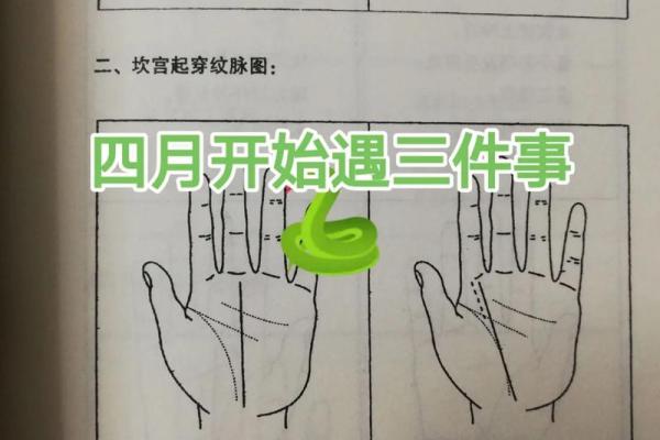 1980属蛇人的命运解析：智慧与隐秘的结合之路