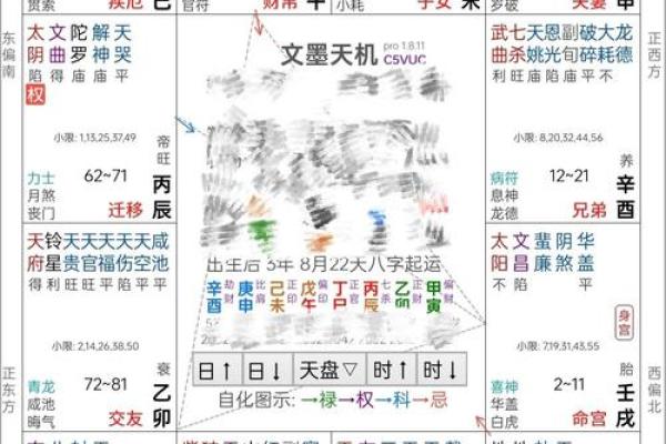 揭开命盘的奥秘：天生丽人的命格特征分析