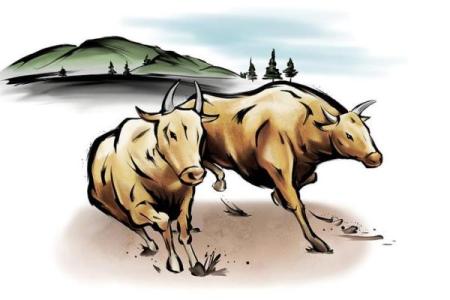 2021白牛命的象征意义与人生启示：探寻牛年的智慧与魅力