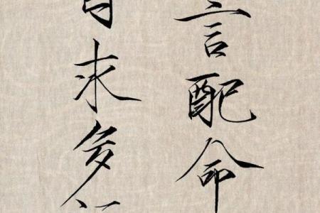 探讨“命毁之中的命”：生死与存在的哲学思考