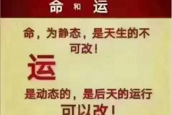 上佳命格代表的生肖解析:揭秘命运的奥秘与幸福的密码 上佳命格代表的生肖解析:揭秘命运的奥秘与幸福的密码