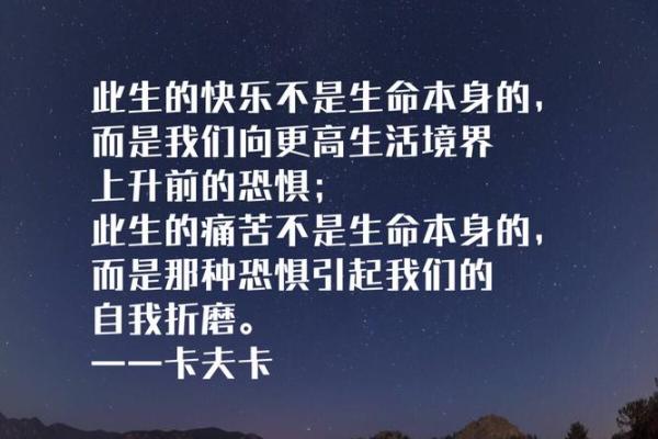 探索命运的旋律：《命硬》歌中蕴藏的智慧与哲理