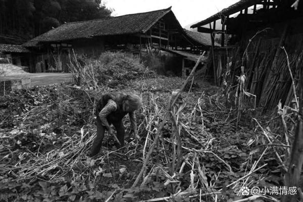 1952年命运的转折点:探索人生的不同可能性 1952年命运的转折点:探索人生的不同可能性