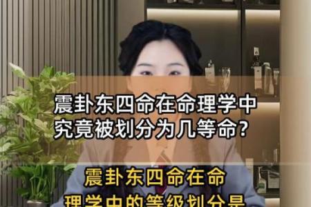震卦东四命解读：探索命理与生活的深层联系