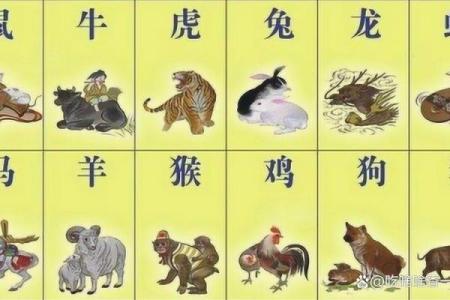 探秘1986年出生的生肖命运与人生轨迹