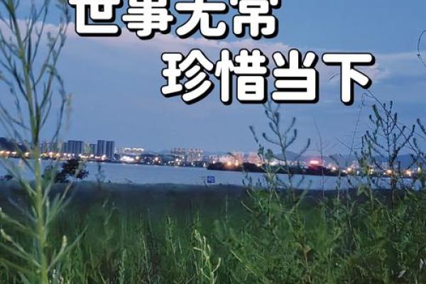 凌晨出生的男孩，命运解析与人生规划