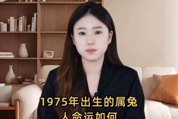 属兔1951年命运与人生解析,揭示兔年人的性格与运势特点 属兔1951年命运与人生解析,揭示兔年人的性格与运势特点