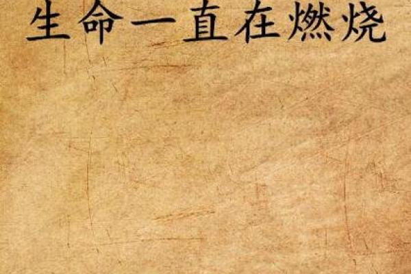 炉中火命格解析：燃烧生命的热情与智慧