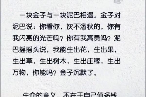 人生最贵的是什么?生命、时间与爱的价值探讨 人生最贵的是什么?生命、时间与爱的价值探讨