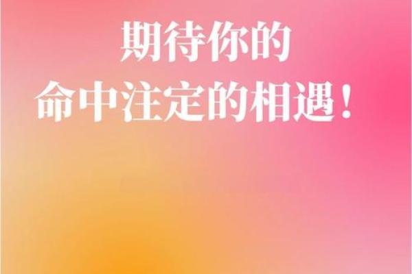 命中注定：人生的意义在于接受与探索