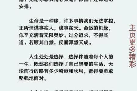 凌晨出生的男孩，命运解析与人生规划