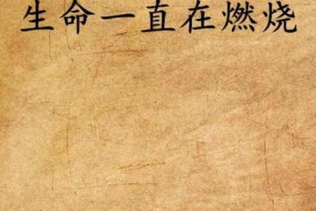 炉中火命格解析：燃烧生命的热情与智慧