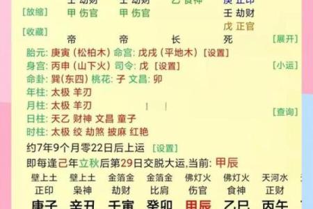 揭秘地支双格命局：如何解读你的命运密码