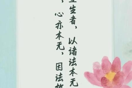 1981年鸡命的命理解析与人生建议：寻找缺失的平衡之道