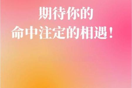 命中注定：人生的意义在于接受与探索