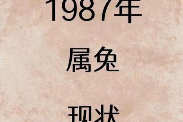 1987年10月22日，命理中的神秘启示与人生轨迹探秘