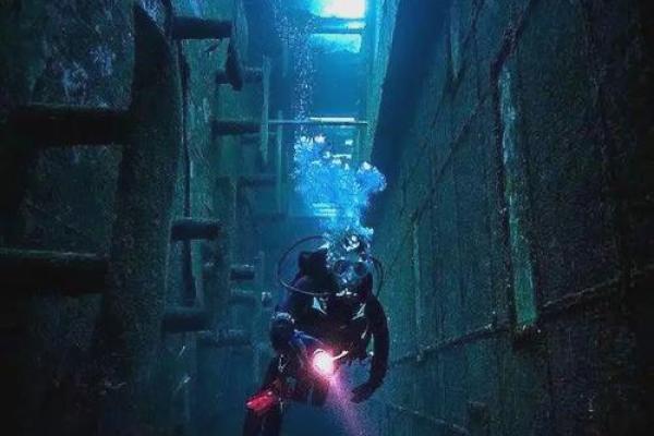 大海水命：深海中的神秘与文化的交融