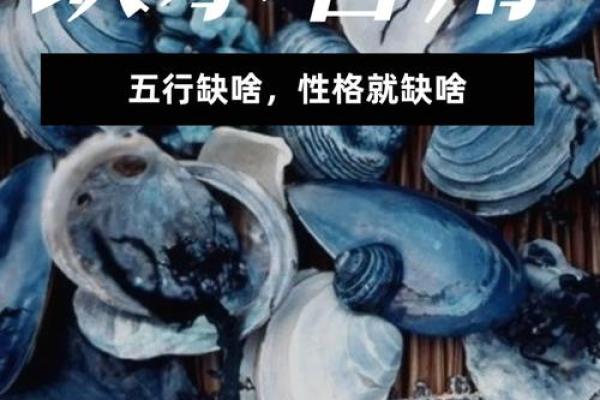 命里缺水的人——探索水元素的独特魅力与生活特征