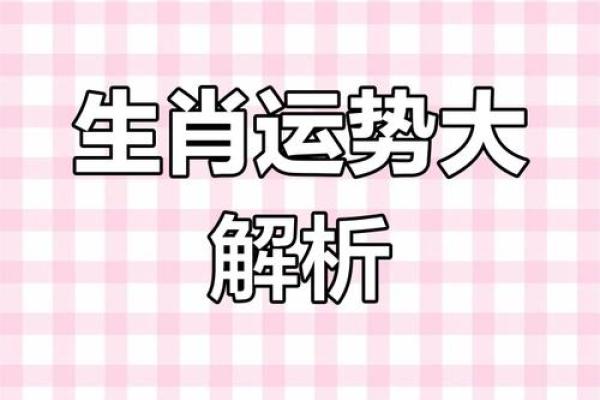 属相与命运的奥秘:探索十二生肖的不同人生轨迹 属相与命运的奥秘:探索十二生肖的不同人生轨迹