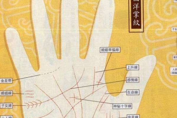 手相解析:旺夫命与好运命的秘密与特征 手相解析:旺夫命与好运命的秘密与特征