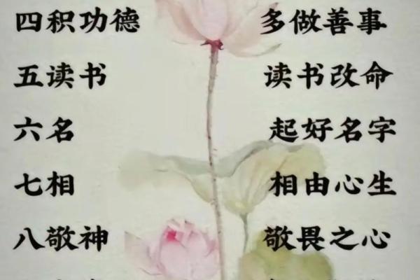 一命换一命：成语背后的智慧与哲理探讨