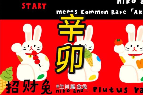 2023兔年命理解析:属兔人的性格与运势揭秘 2023兔年命理解析:属兔人的性格与运势揭秘