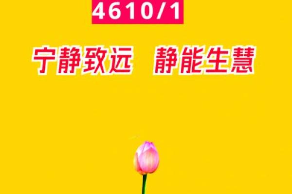 什么是慧命?探寻生命的智慧与意义之旅 什么是慧命?探寻生命的智慧与意义之旅