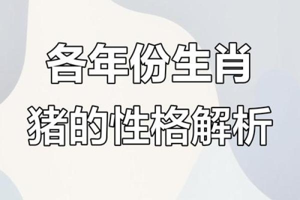 猪年出生者的命运与性格解析：1995年的独特命理之旅