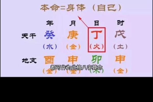 命格解析:甲木之命的含义与人生启示 命格解析:甲木之命的含义与人生启示