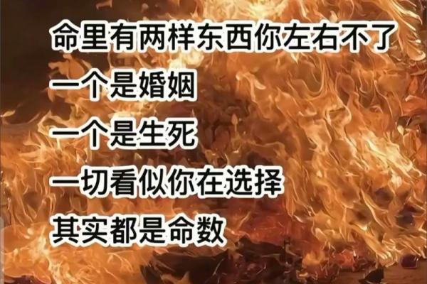 探讨一命换命的方法:超越生死的边界与希望的火花 探讨一命换命的方法:超越生死的边界与希望的火花