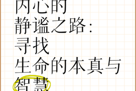 什么是慧命？探寻生命的智慧与意义之旅