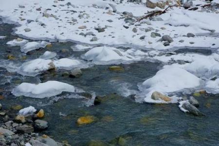 淡水命的奥秘：从冰雪到溪流的生命之源