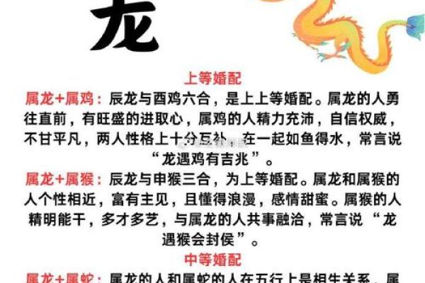 2012年龙生肖解析：神秘命运与人生轨迹探秘