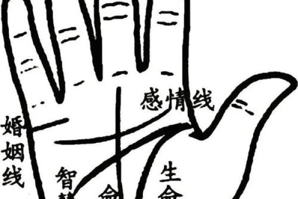 车牌命理数揭秘：你还不知道的命运密码！