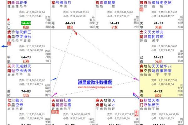 紫薇命宫揭秘:八种命格解读与运势分析之旅 紫薇命宫揭秘:八种命格解读与运势分析之旅