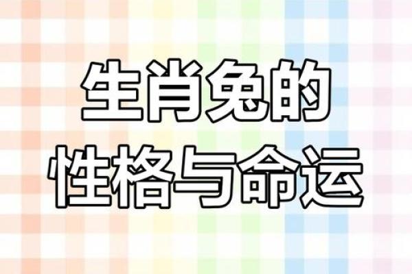 癸卯年:兔年的命运与性格解析,探寻命理的奥秘与生活的哲理 癸卯年:兔年的命运与性格解析,探寻命理的奥秘与生活的哲理