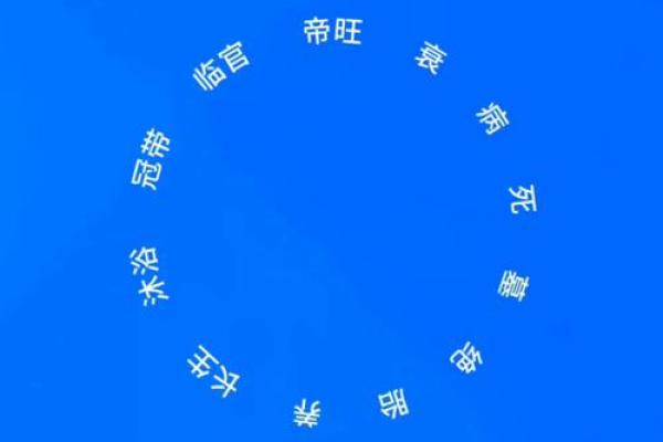 阳火命与生肖动物:探索命理中的火象相配关系 阳火命与生肖动物:探索命理中的火象相配关系