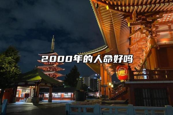 探寻1995年2月11日出生者的命运与性格魅力 探寻1995年2月11日出生者的命运与性格魅力