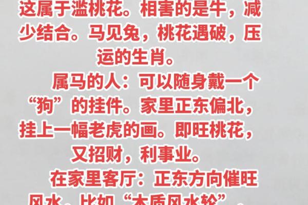 属马20岁的人生运势与命理解析 属马20岁的人生运势与命理解析