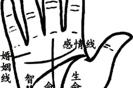 车牌命理数揭秘：你还不知道的命运密码！