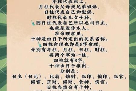 己巳年属相命理解析：如何提升你的运势与生活质量