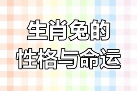 癸卯年：兔年的命运与性格解析，探寻命理的奥秘与生活的哲理