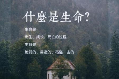 探寻生命的深意：了解“命”的重要性与价值观念