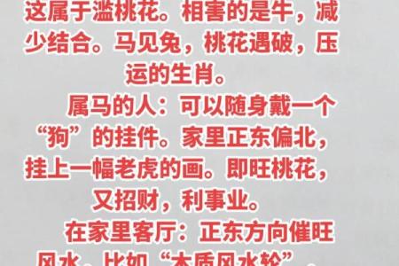 属马20岁的人生运势与命理解析