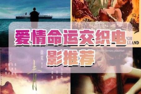 情场得意命：爱情与命运的交织之旅