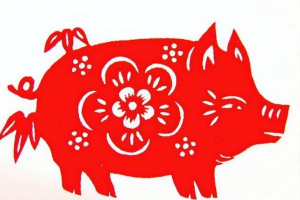 腊月十二出生属猪人的命运分析与生活指导