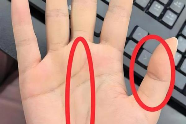脚掌大拇指短的命运解析,揭示生活与你命运的微妙联系 脚掌大拇指短的命运解析,揭示生活与你命运的微妙联系