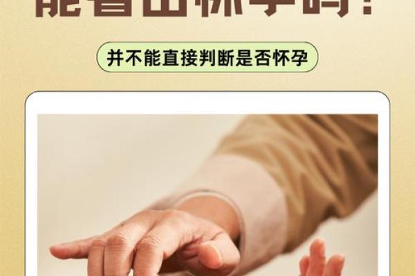 号脉探秘：命运的脉搏与人生的搏击